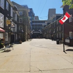 Meet your Posher, Elley